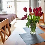 Sleepy3city 10 Lutego 23 Apartman *