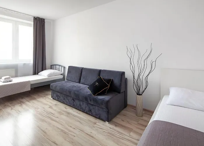 Sleepy3city 10 Lutego 23 Gdynia